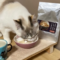 真昆布だし香る　にゃんのごちそう