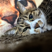 ナノウエルクリーナ