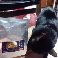 真昆布だし香る　にゃんのごちそう