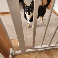 拡張できるスチールゲート