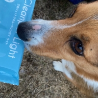 万能ウェットタオル　クリンポイ（ペット用ウェットティッシュ）