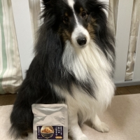 真昆布だし香る　わんのごちそう