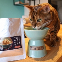 真昆布だし香る　にゃんのごちそう