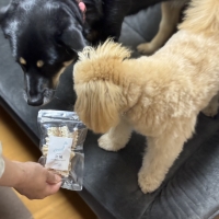 宮城産サメおやつ（PEPPY　LIFE犬おやつシリーズ）