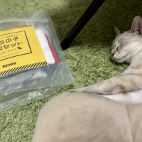 うちの子防災セット