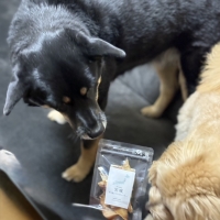 宮城産サメおやつ（PEPPY　LIFE犬おやつシリーズ）