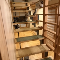 ラグタスワイド階段マット　てくてく肉球