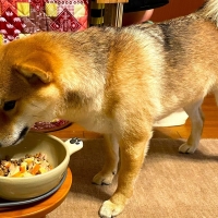 北の極 ビストロスタイル