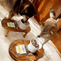 ＰＥＰＰＹ　ＬＩＦＥ　わんデリ(犬 トッピング）