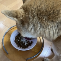 宮城産サメおやつ（PEPPY　LIFE犬おやつシリーズ）