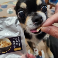 真昆布だし香る　わんのごちそう