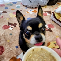 ナチュラルハーベスト フェカリス３０００