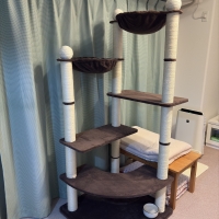 多頭用大きなダブルハンモックタワー（高さ170cm　据え置き型　多頭飼い　大型猫）