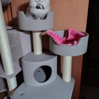 キャットベーシックタワー(高さ126cm　据え置き型　スリム　ハウス　多頭飼い)