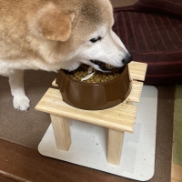 真昆布だし香る　わんのごちそう