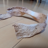 国産セーフハイド （犬 噛む 革製おもちゃ）