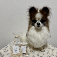 宮城産サメおやつ（PEPPY　LIFE犬おやつシリーズ）