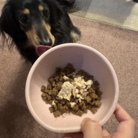 真昆布だし香る　わんのごちそう