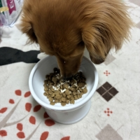 宮城産サメおやつ（PEPPY　LIFE犬おやつシリーズ）