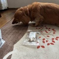 宮城産サメおやつ（PEPPY　LIFE犬おやつシリーズ）