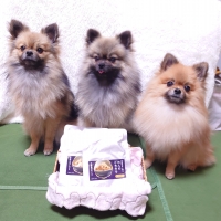 真昆布だし香る　わんのごちそう