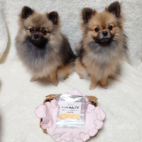 ＰＥＰＰＹ　ＬＩＦＥ　わんデリ(犬 トッピング）