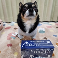 動物用プレミアム乳酸菌Ｈ＆Ｊ・Ｉ・Ｎ　エイチジンブルー