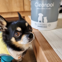 万能ウェットタオル　クリンポイ（ペット用ウェットティッシュ）