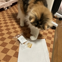 宮城産サメおやつ（PEPPY　LIFE犬おやつシリーズ）