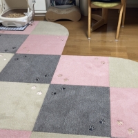 ラグタスタイルラグ　サークルパーツ