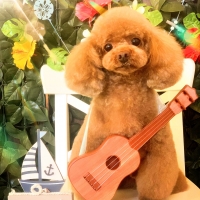 さわやかコットン スクエアソファー（旧：さわやかマリン　スクエアソファー）