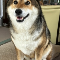 北の極 ごほうびソーセージ