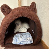 抗菌防臭ふんわりアニマルベッド