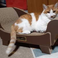 ラグジュアリーソファ