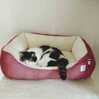 ★Ｓｉｐｐｏｌｅ　２ＷＡＹもちふわスクエアベッド