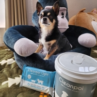 万能ウェットタオル　クリンポイ（ペット用ウェットティッシュ）