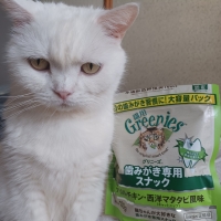 猫用グリニーズ (正規品)（猫用おやつ）