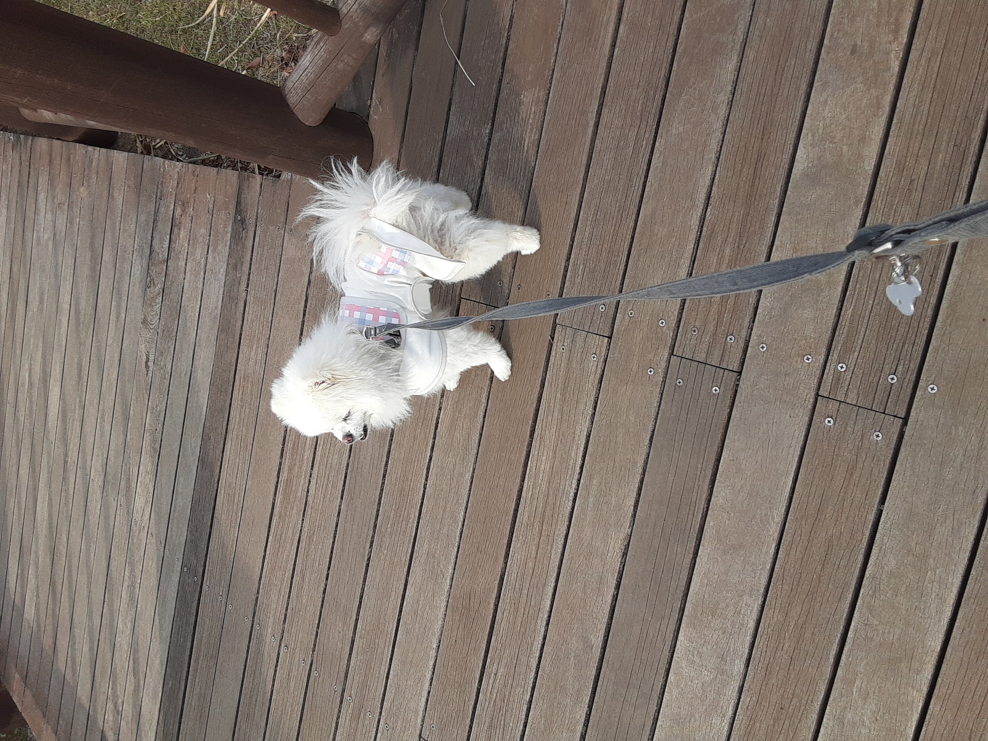 【PEPPY　LIFE】シャネツ　こかげマント（日差し対策）