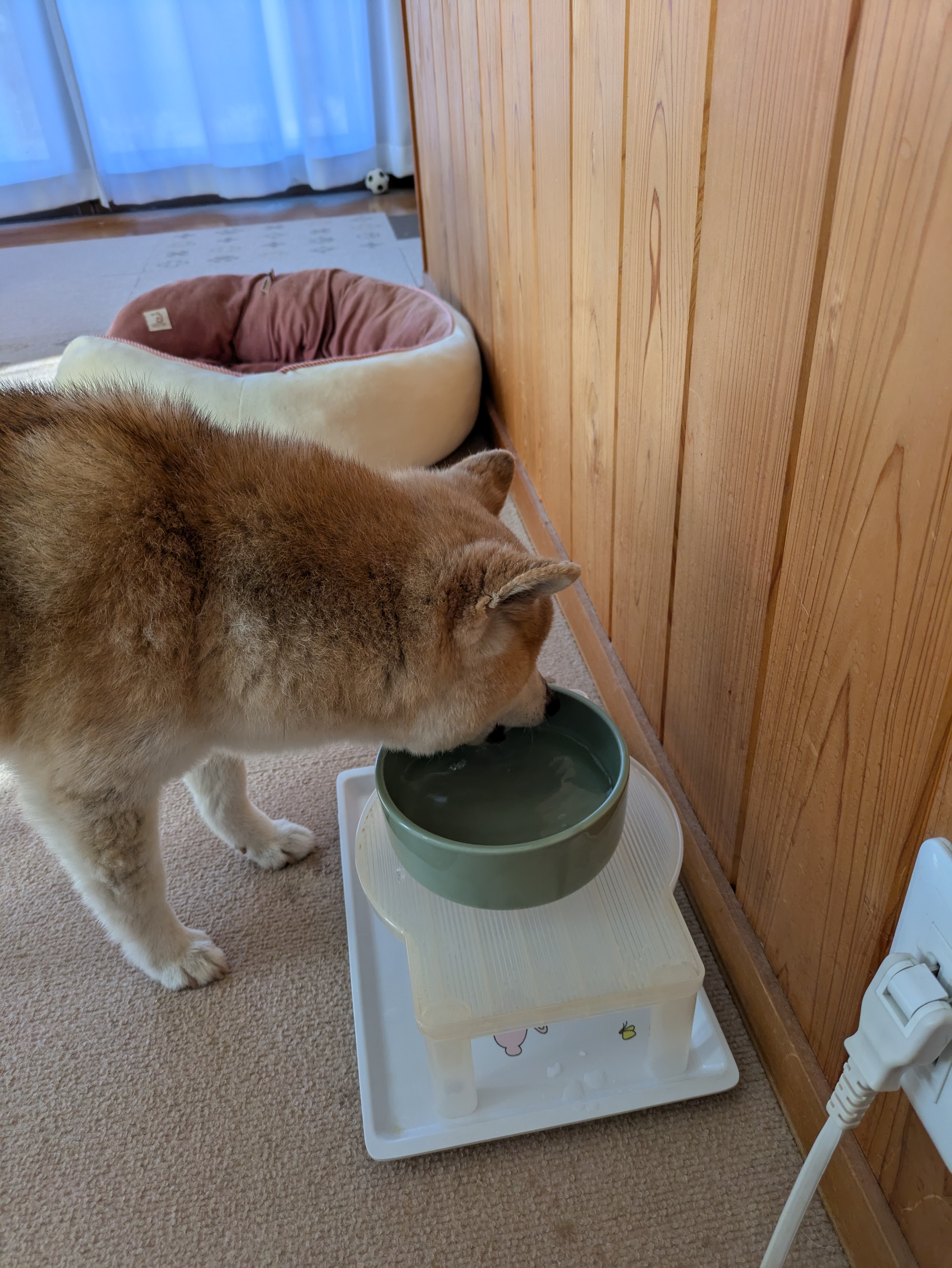 ヘルスウォーターシリーズ (食器)