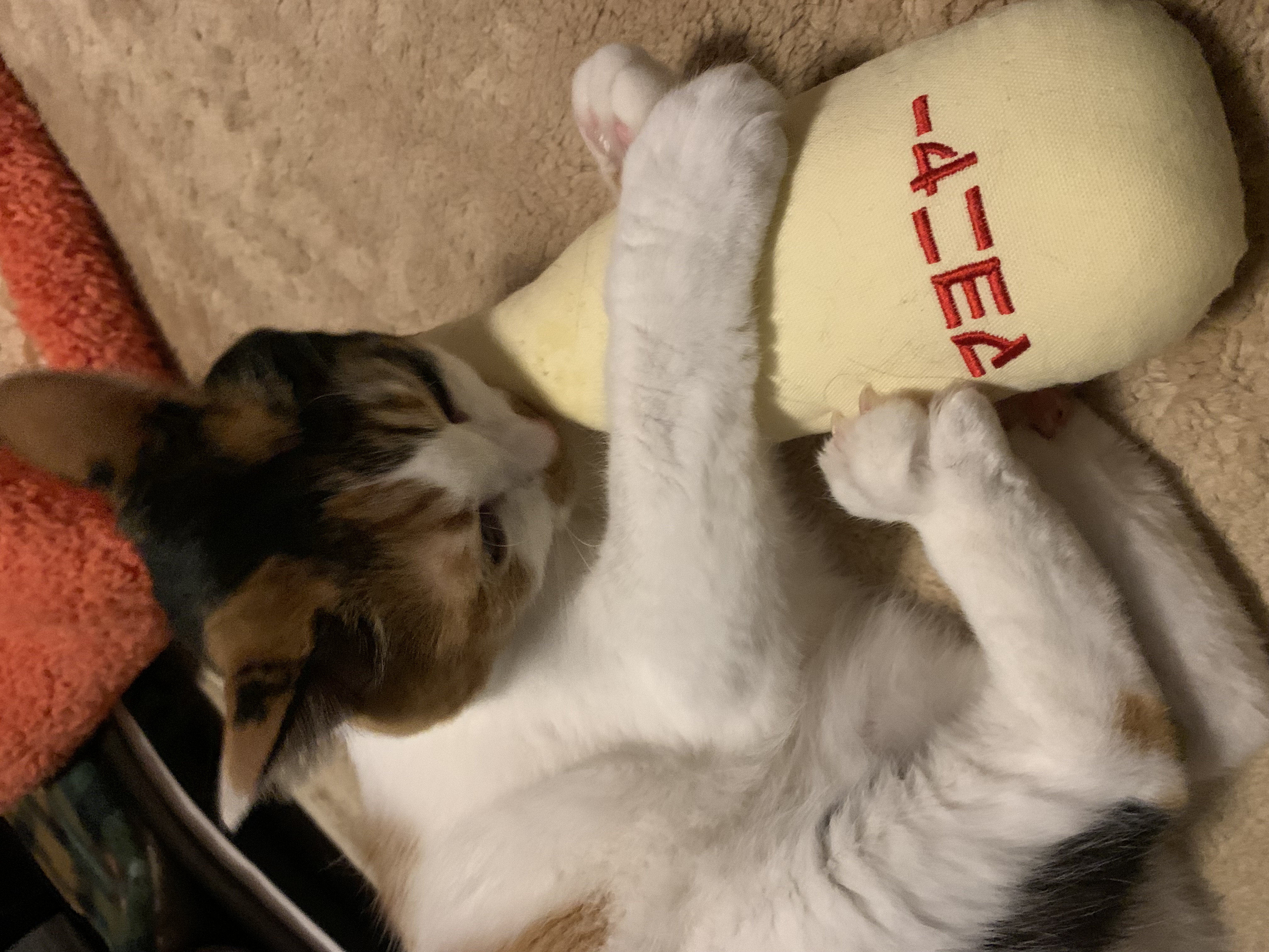 けりマヨ