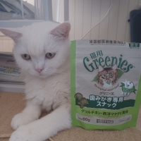 猫用グリニーズ (正規品)（猫用おやつ）