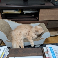 ラグジュアリーソファ