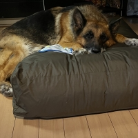 おおきな犬のベッド　ＳＵＹＡＲＩ（大型犬用ベッド）
