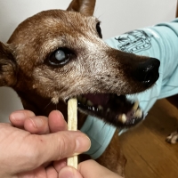 毎日カミカミ　おくちと体の健康スティック