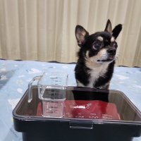 密閉フードストッカー　１．５ｋｇ（山崎実業　Nooks)