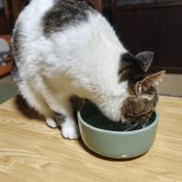 ヘルスウォーターシリーズ