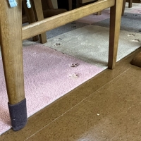ラグタスタイルラグ　てくてく肉球