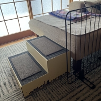 だんだんステップ