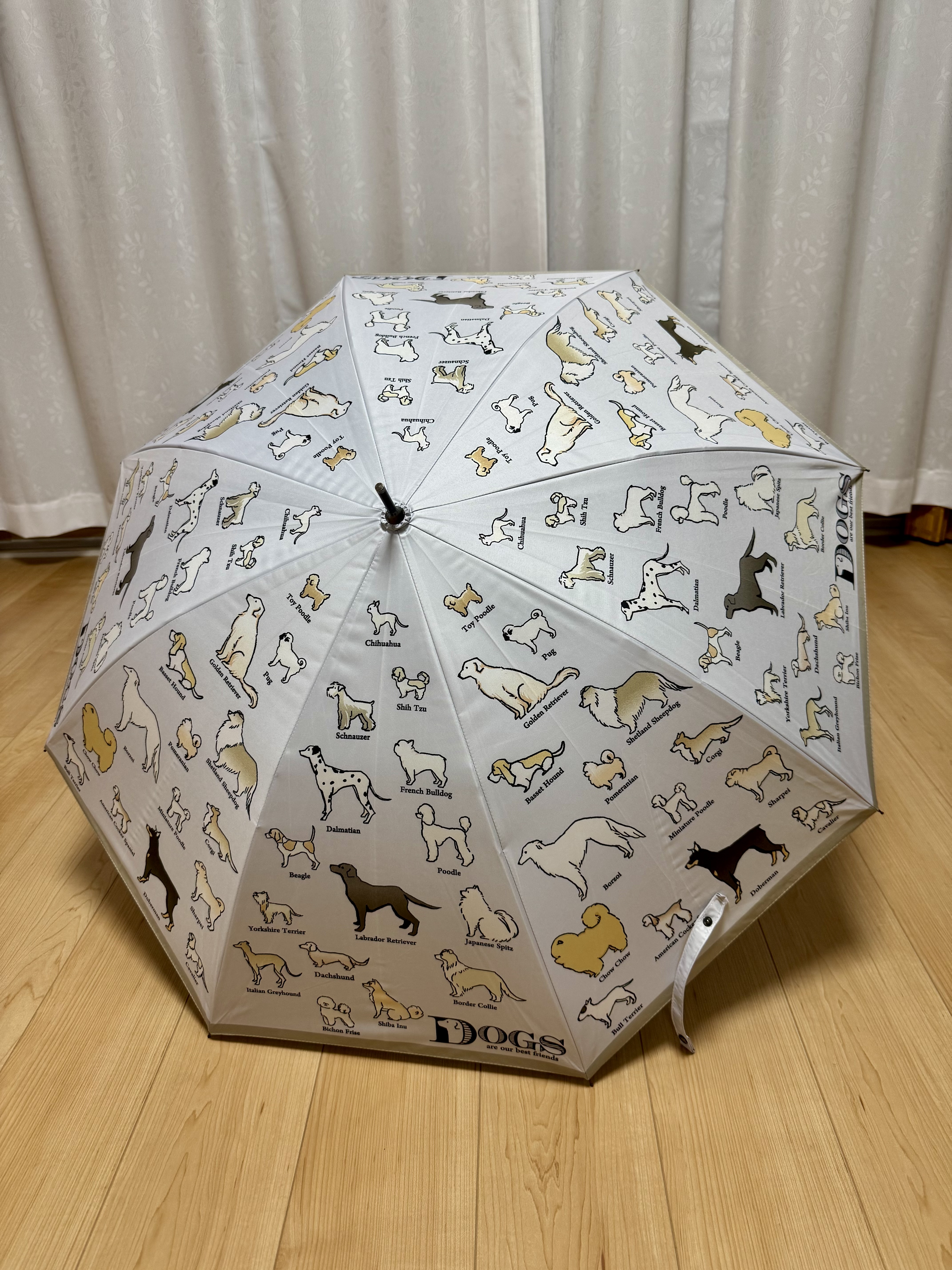 犬図鑑  長傘