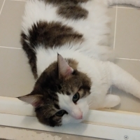 【募金付き】眼鏡ケース（クロス付き）